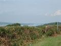 river shannon - downriver.jpg